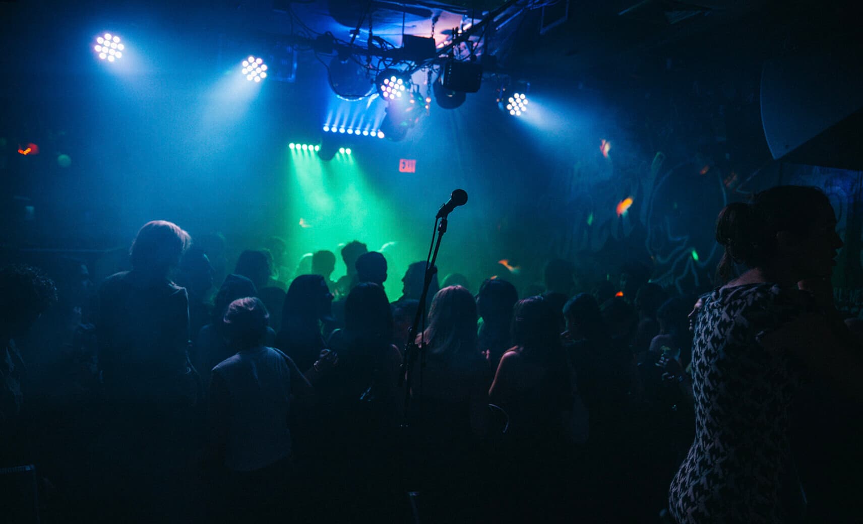 Dog House live on a fog-lit stage as the crowd watches in silhouette