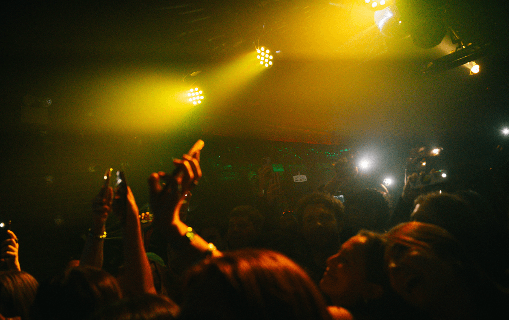 Dog House live, the crowd lit in amber stage fog